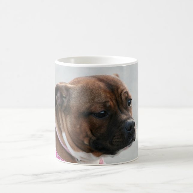 Tasse de bull-terrier du Staffordshire (Centre)