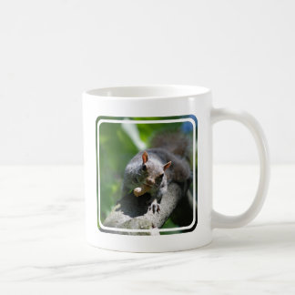 Tasse de café à noix d'écureuil