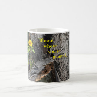 tasse de café avec l'horticulture hors de l'arbre