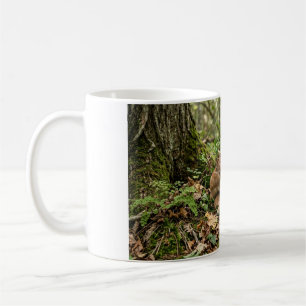 Tasse de café avec un jeune cerf recroquevillé dan