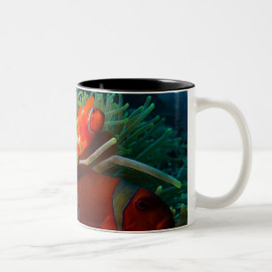 Tasse de café d'Anemonefish
