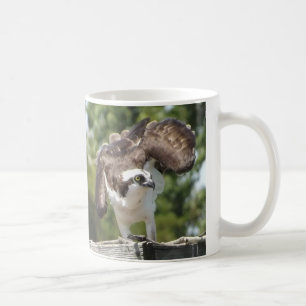 Tasse de café de balbuzard