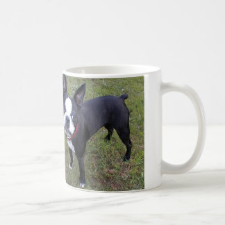TASSE DE CAFÉ DE BOSTON TERRIER