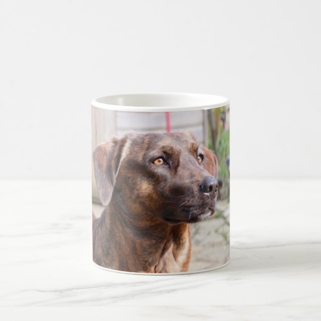 Tasse de café de Brin de chien de Nowzad Rscue (Centre)