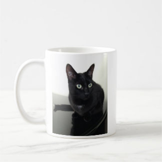 Tasse de café de chat noir