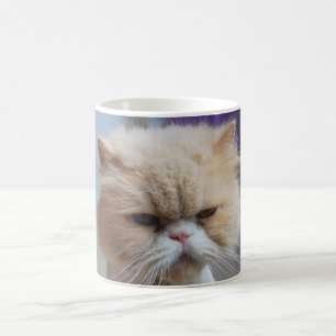Tasse de café de chat persan de Ronronnement-fect