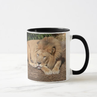 Tasse de café de chats