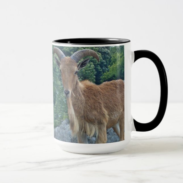 Tasse de café de chèvre de montagne (Droite)