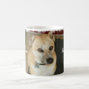 Tasse de café de chien de délivrance de Nowzad