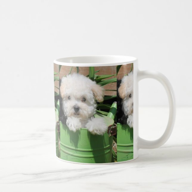Tasse de café de chiot de Maltipoo (Droite)