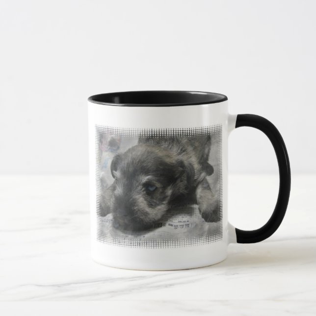 Tasse de café de chiot de Schnauzer (Droite)