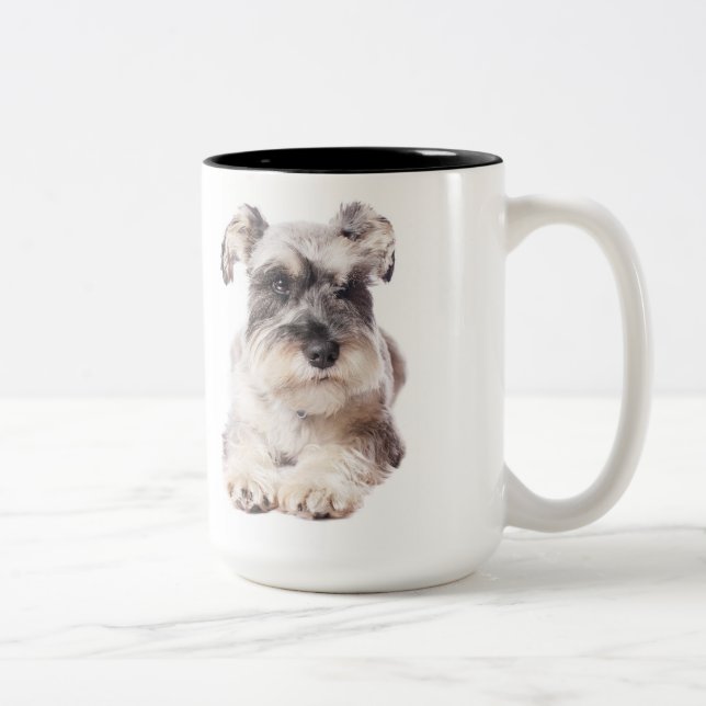 tasse de café de chiot de schnauzer (Droit)