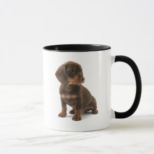 Tasse de café de chiot de teckel