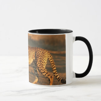 TASSE DE CAFÉ DE GUÉPARD