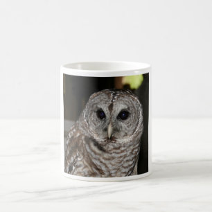 Tasse de café de hibou barré