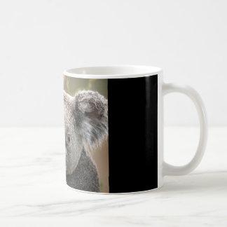 Tasse de café de koala