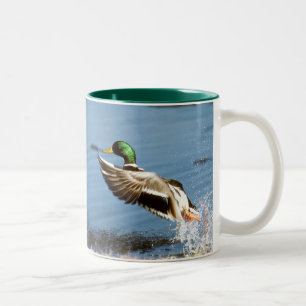 Tasse de café de Mallard (canard)