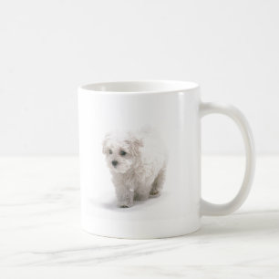 Tasse de café de photo de Bichon Frise