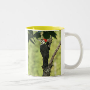Tasse de café de pivert de Pileated