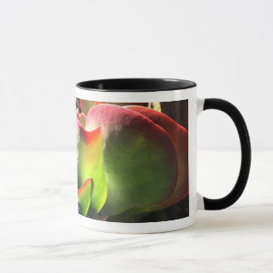 Tasse de café de plante de palette