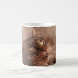 Tasse de café de ragondin du Maine