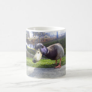 Tasse de café "de rencontre de canard"