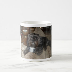 Tasse de café de Shih Tzu