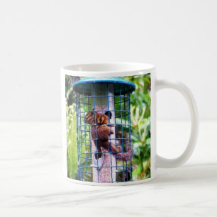 Tasse de café de tamia