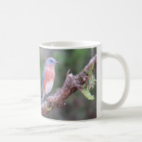 Tasse de café d'oiseau bleu