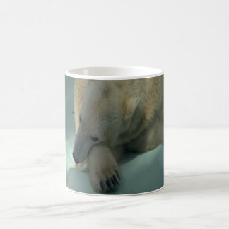 Tasse de café d'ours blanc