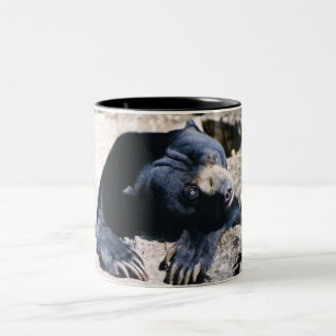 Tasse de café d'ours de Sun