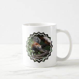 Tasse de café d'ours panda de sommeil