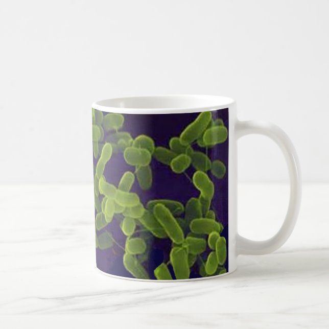 Tasse de café - Escherichia coli (Droite)