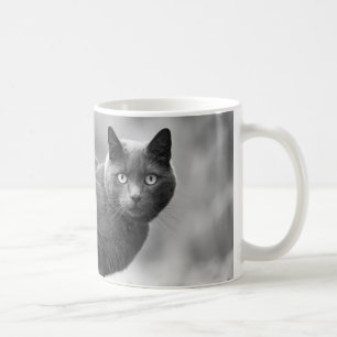 Tasse de café grise de chat