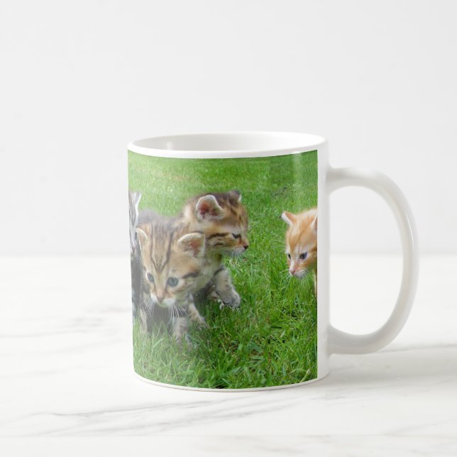 Tasse de café innocente mignonne de chatons (Droite)