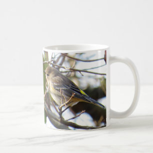 Tasse de café Jaune-rumped de fauvette