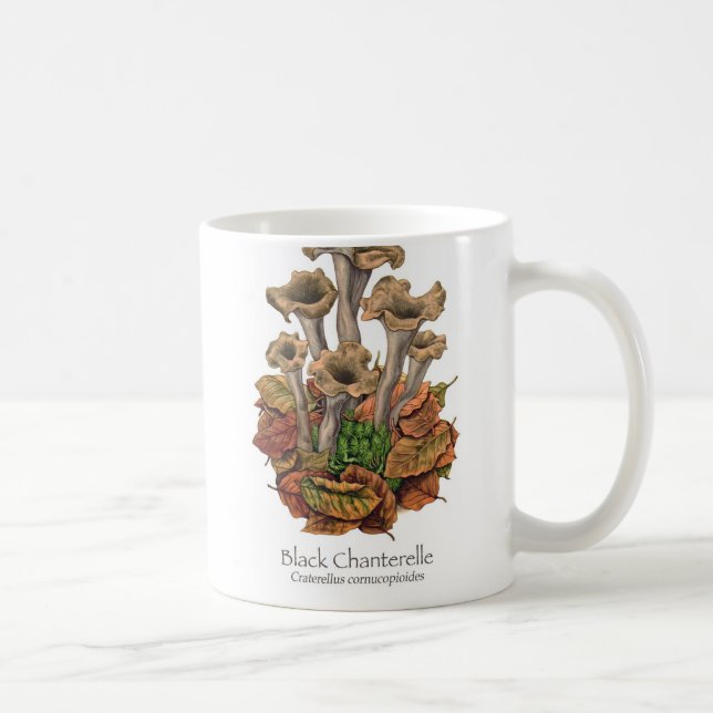 Tasse de café noire de champignon de chanterelle (Droite)