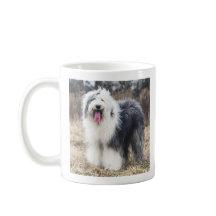 Tasse de café portrait de vieux chien de berger an