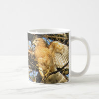 tasse de café Rouge-épaulée de faucon