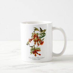 tasse de café Rubis-throated de colibri