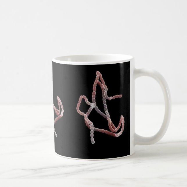 Tasse de café - streptocoque (en pastel sur le (Droite)