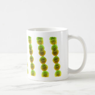 Tasse de café - streptocoque (vert sur le blanc)