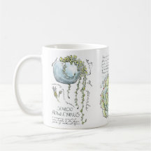 Tasse de café succulente d'illustration