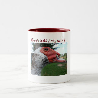 Tasse de canard de Muscovy