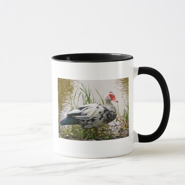 Tasse de canard de Muscovy (Droite)