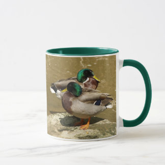 Tasse de canards de Mallard