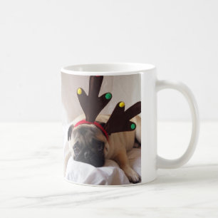 tasse de carlin