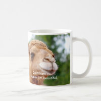 Tasse de chameau d'amusement : Ne me détestez pas