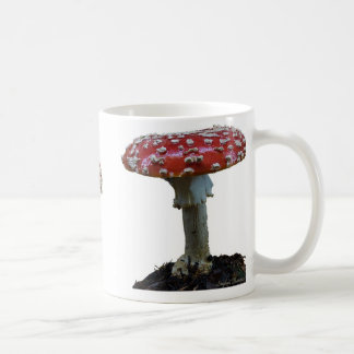 Tasse de champignon de trois amanites