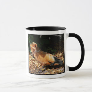 Tasse de chance